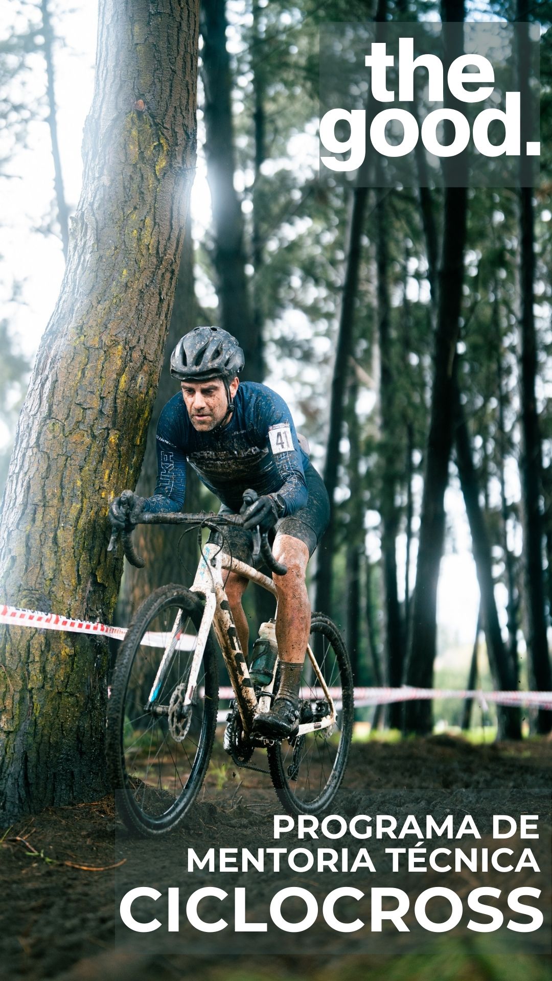 programa de mentoria técnica